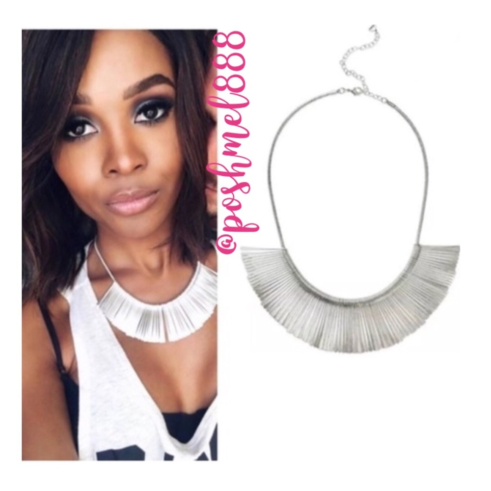 :: Stella & Dot [SILVER] Essential Fringe Necklace
